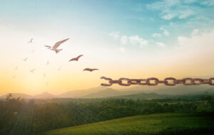 Freedom with birds flying and chain broken